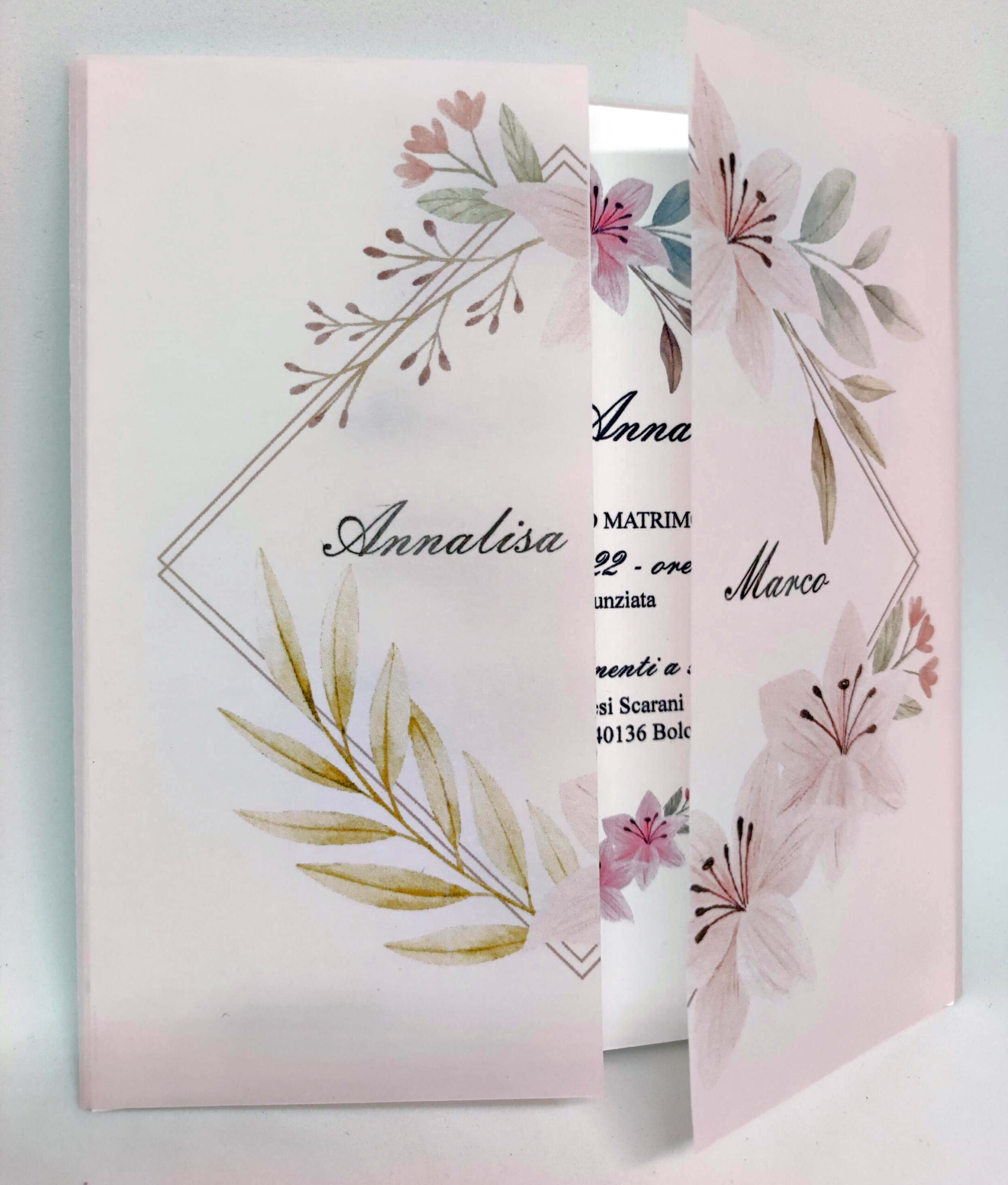 traslucida rosa - immagine 3